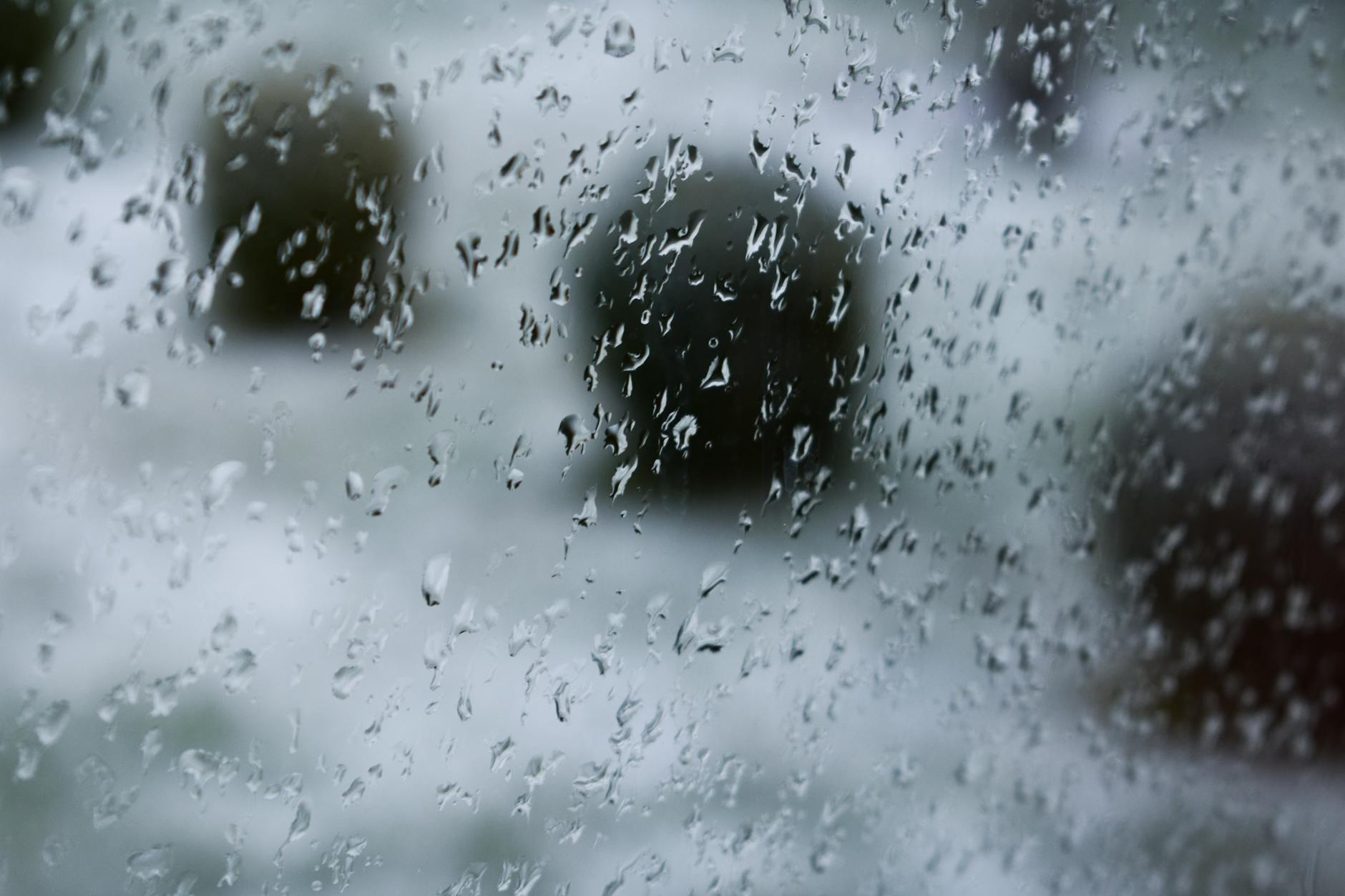 featured-image
