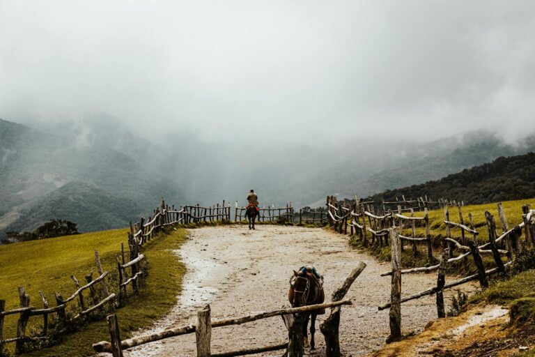 featured-image